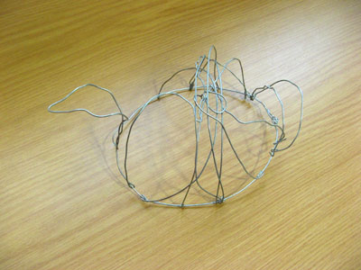 A wire sculpture of a tortoise!